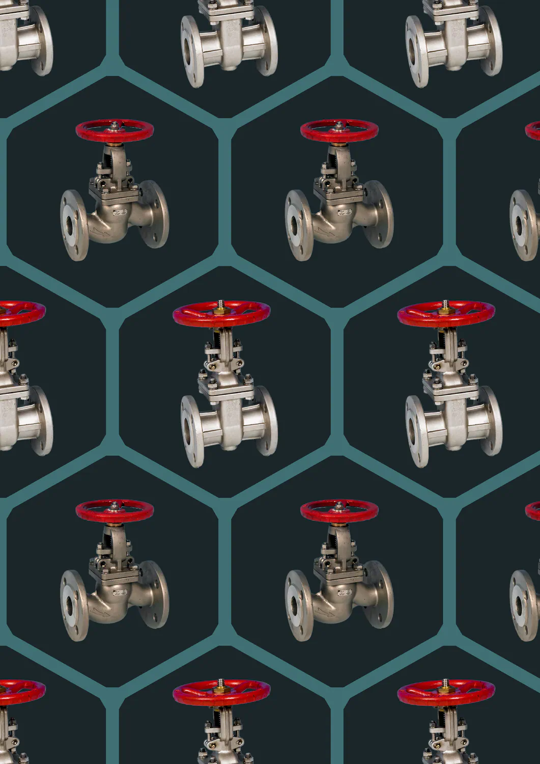 Gate and Globe Valves