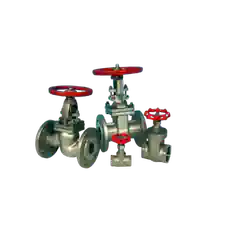 Gate and Globe Valves