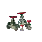 Gate and Globe Valves
